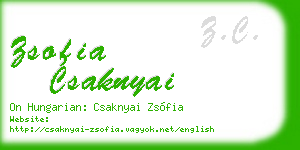zsofia csaknyai business card