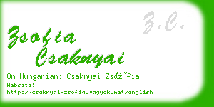 zsofia csaknyai business card